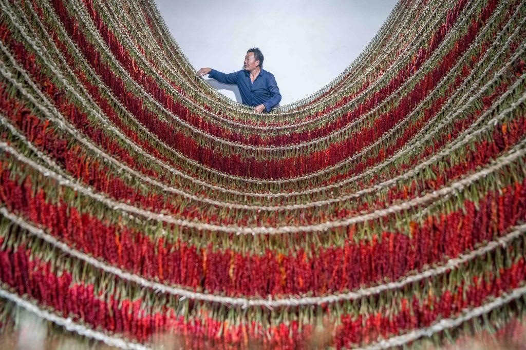 在貴州省畢節(jié)市大方縣理化鄉(xiāng)金雞村，村民查看辣椒烘干情況。新華社發(fā) 羅大富攝