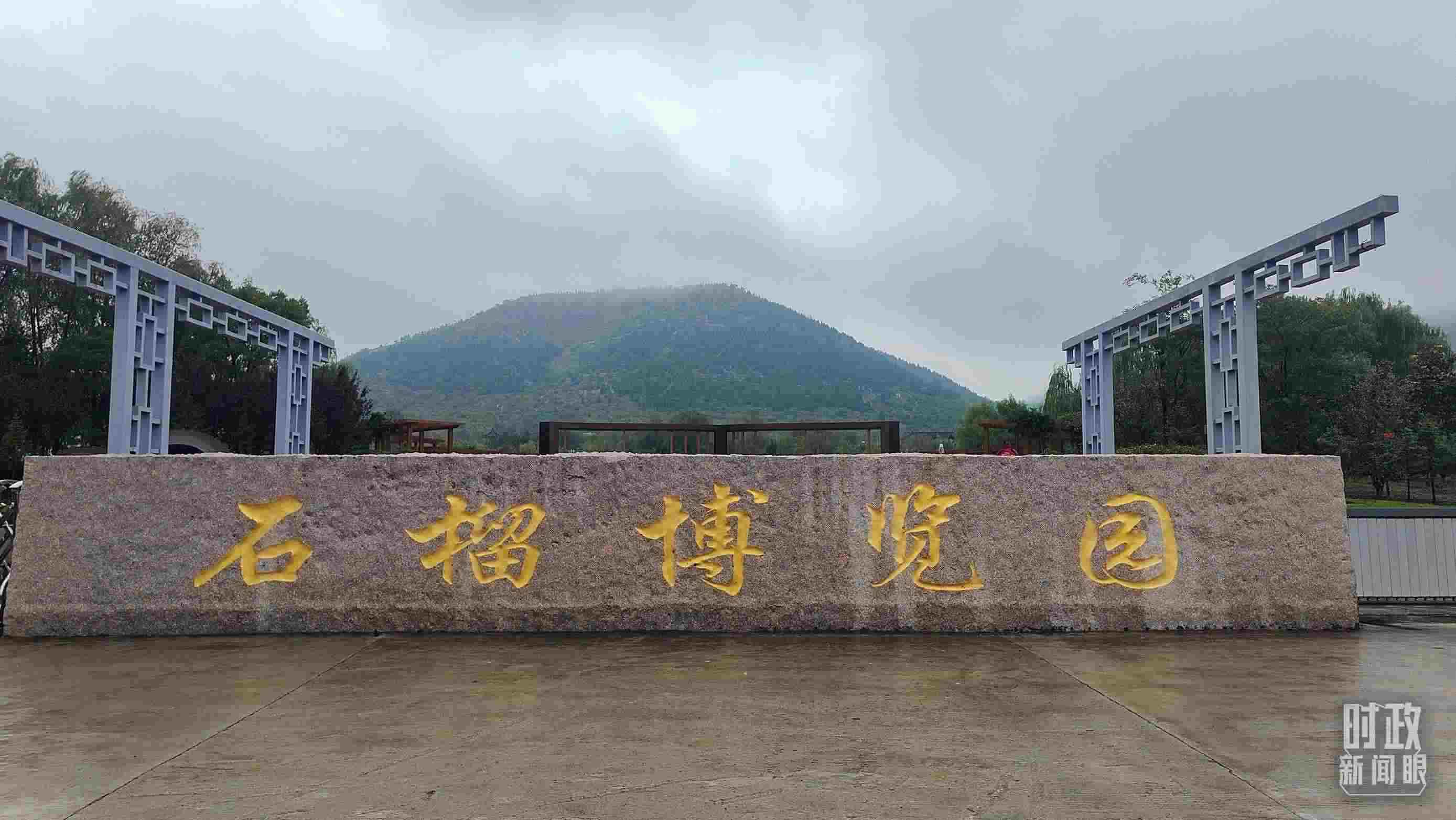 △石榴種質(zhì)資源庫位于石榴博覽園內(nèi)。（總臺央視記者楊立峰拍攝）