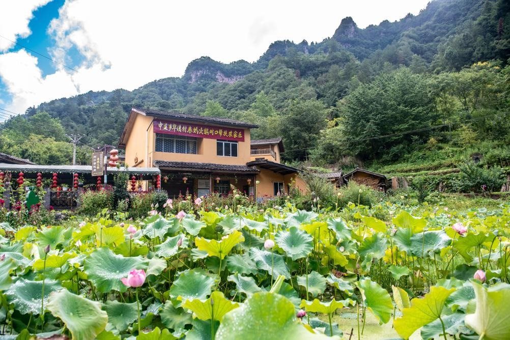 這是8月28日拍攝的華溪村村民開設(shè)的農(nóng)家樂外景。新華社記者 唐奕 攝