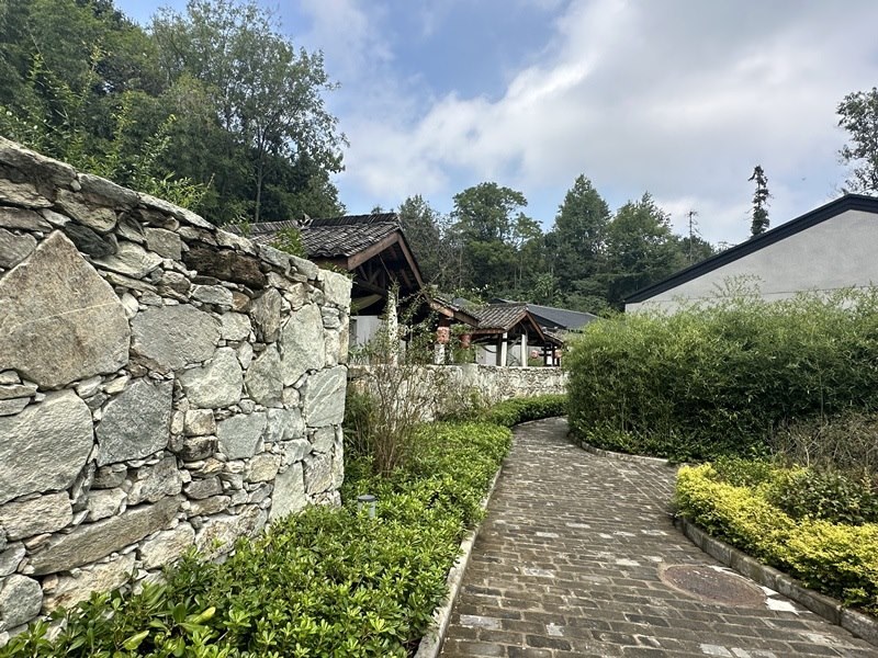 眾多民宿坐落于夫子山山麓。人民網(wǎng) 王紹紹攝