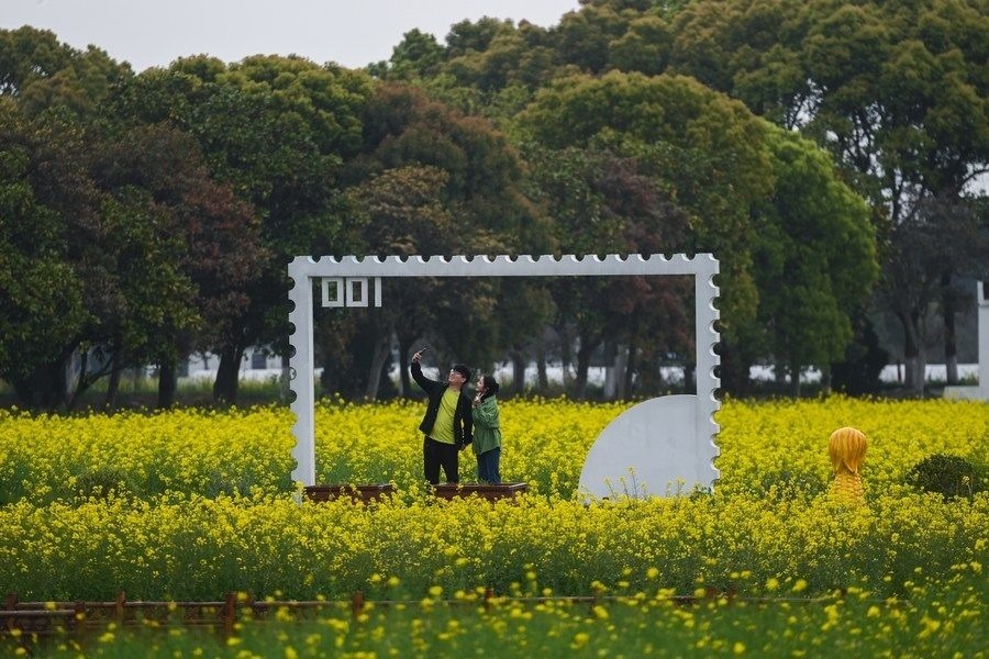 游客在浙江嘉興市秀洲區(qū)王店鎮(zhèn)鎮(zhèn)中村的“青青樂(lè)地”農(nóng)耕文化園內(nèi)游玩（2023年4月3日攝）。