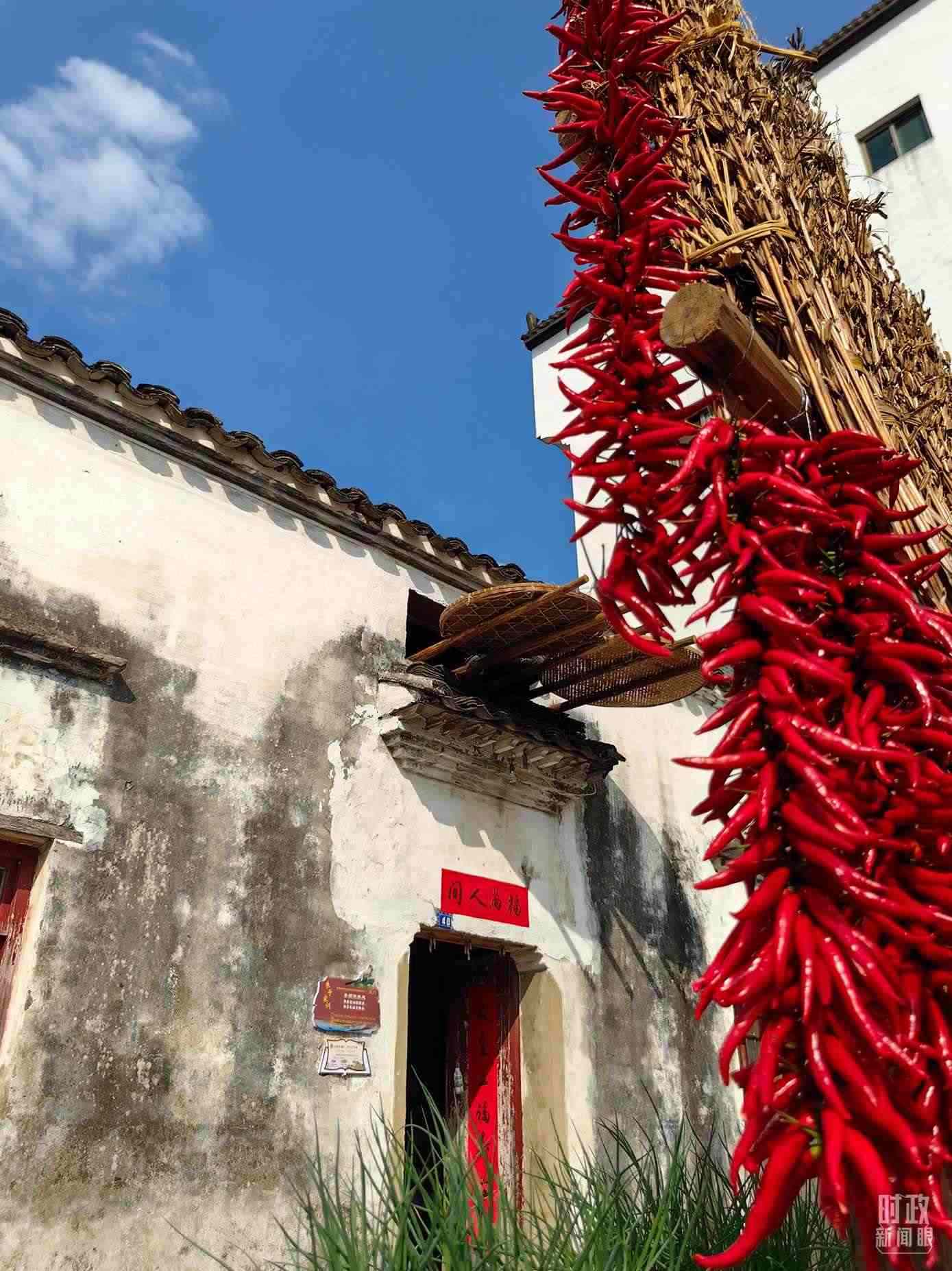 △石門村農家晾曬的辣椒。（總臺央視記者段德文拍攝）