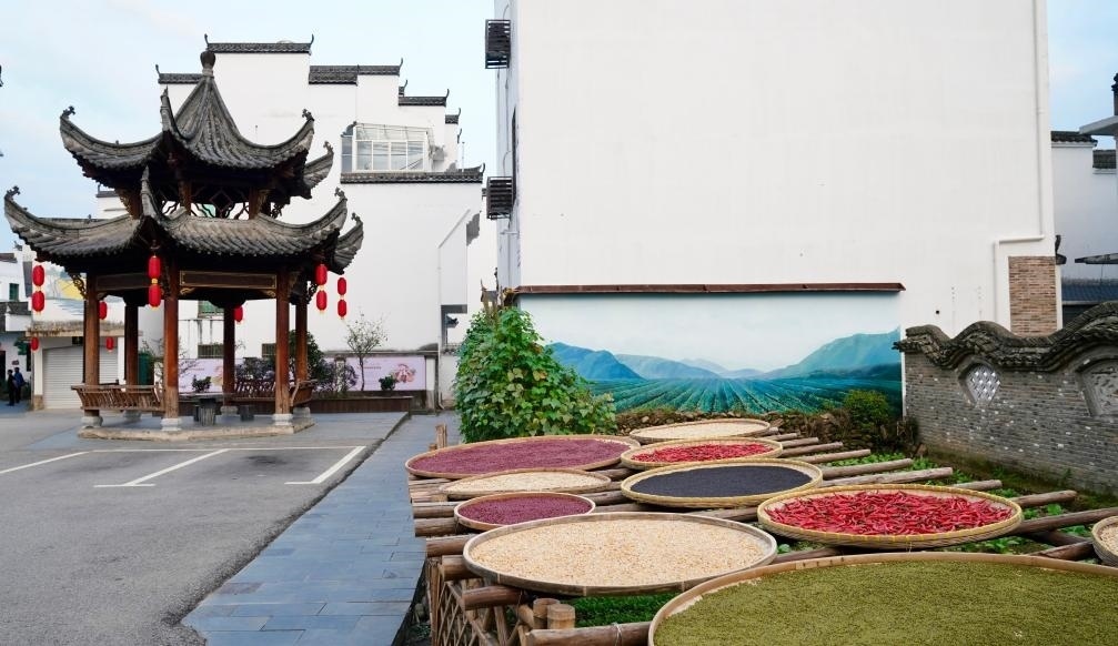 近日拍攝的江西省上饒市婺源縣秋口鎮(zhèn)王村石門自然村曬秋場景。新華社記者 胡晨歡 攝