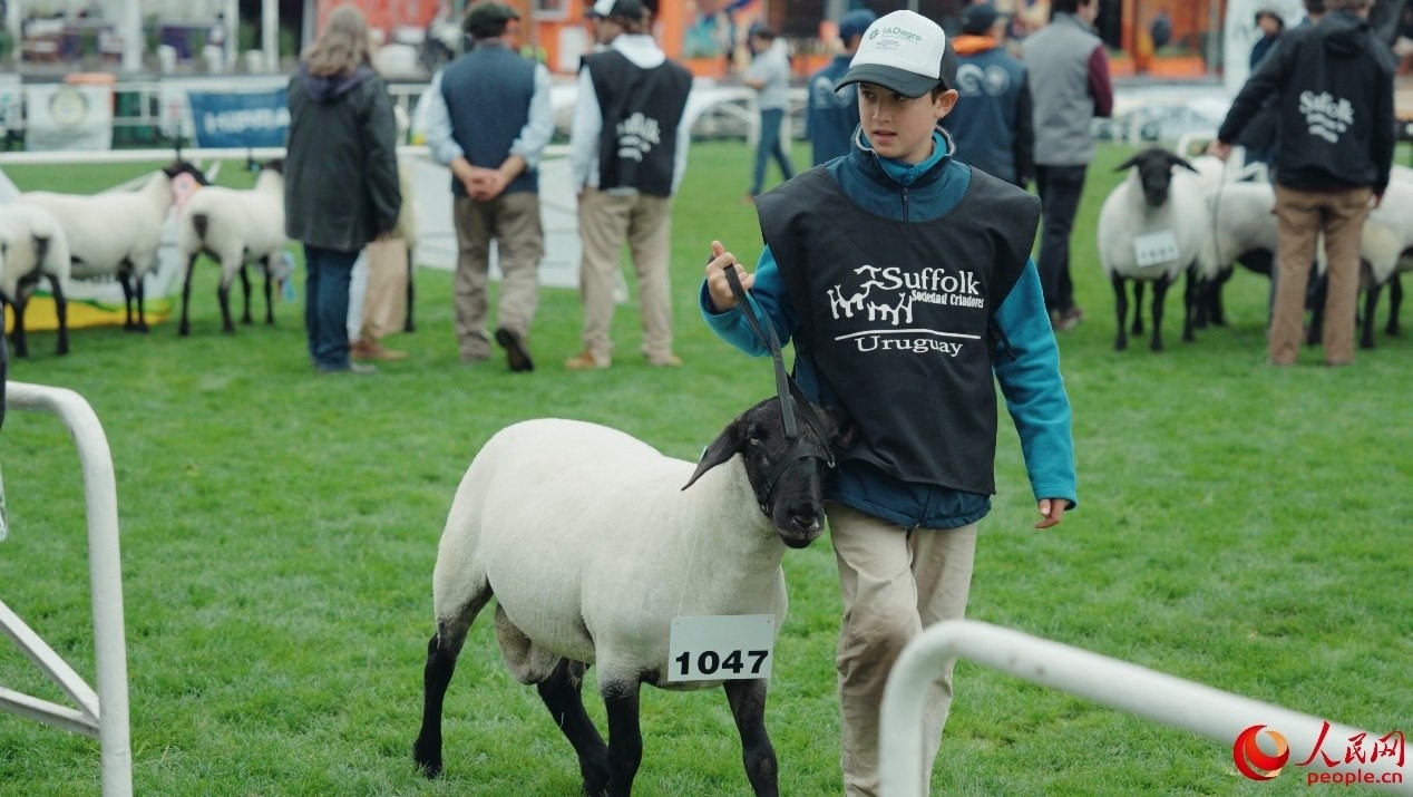 烏拉圭第118屆普拉多牧農(nóng)業(yè)國際博覽會現(xiàn)場。人民網(wǎng)記者 張若涵攝