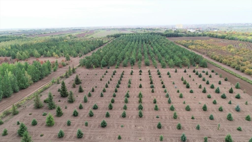 這是2023年9月11日在哈薩克斯坦首都阿斯塔納拍攝的一處植物種質(zhì)資源苗圃（無人機(jī)照片）。新華社發(fā)（法爾哈特·圖克諾夫 攝）