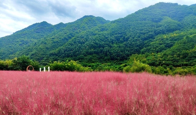寶成線鳳縣境內的路邊。