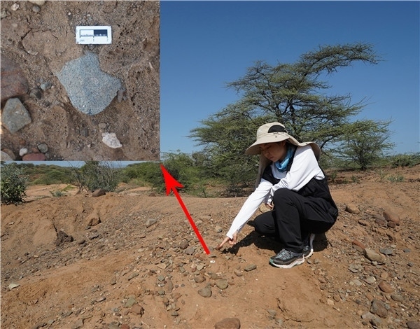 地層中的勒瓦婁哇石片。中肯聯(lián)合考古隊(duì)供圖