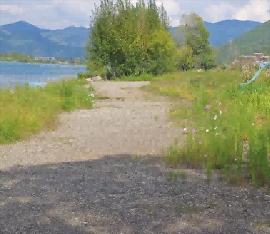 王軍所說被填區(qū)域。 人民網(wǎng)記者 黃鈺攝