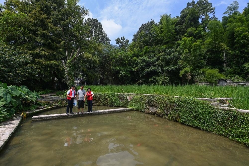 2023年8月17日，浙江省麗水市青田縣方山鄉(xiāng)田魚養(yǎng)殖戶吳勇強(qiáng)（中）在接受青田農(nóng)商銀行“小蜻蜓”服務(wù)隊(duì)志愿者提供的“惠民易貸”上門服務(wù)。近年來(lái)，青田縣金融發(fā)展中心聯(lián)合各個(gè)金融機(jī)構(gòu)優(yōu)化配套鄉(xiāng)村振興金融服務(wù)，推出“惠民易貸”“農(nóng)家樂貸”等金融產(chǎn)品，重點(diǎn)支持涉農(nóng)龍頭企業(yè)及特色種養(yǎng)殖產(chǎn)業(yè)。新華社記者 徐昱 攝