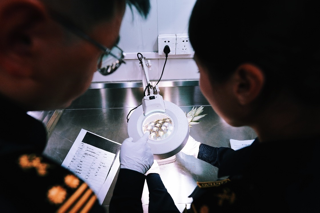 上海海關(guān)關(guān)員針對(duì)檢疫性有害生物和農(nóng)藥殘留進(jìn)行檢疫檢驗(yàn)。陳興洲攝