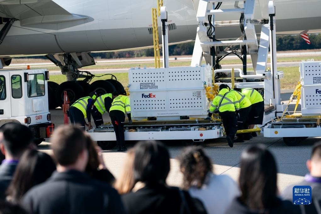 11月8日，在美國弗吉尼亞州的華盛頓杜勒斯國際機場，裝有大熊貓的特制“旅行包廂”準(zhǔn)備運上專機。新華社記者劉杰攝