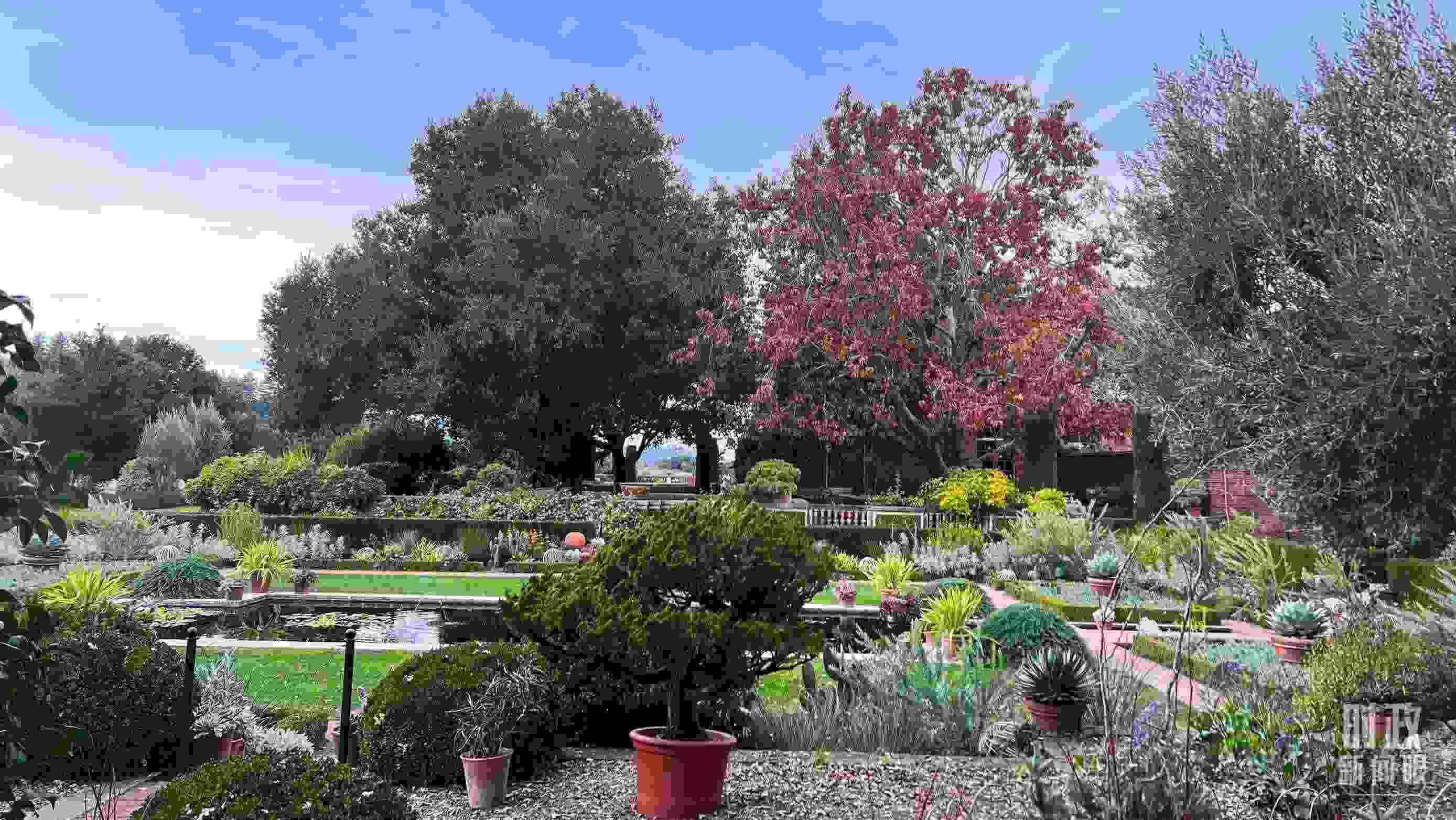 斐洛里莊園被稱作美國20世紀(jì)現(xiàn)存最精美鄉(xiāng)村莊園之一。（總臺(tái)央視記者程鋮拍攝）