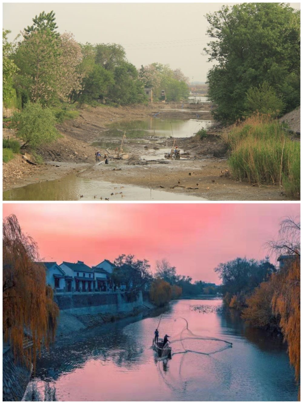 江蘇省揚(yáng)州市江都區(qū)明清運(yùn)河故道整治前后。（上圖：2012年；下圖：2020年）（孫友定 攝）