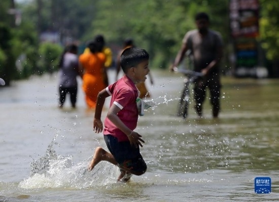 11月24日，一名男孩在斯里蘭卡加姆珀哈涉水出行。新華社發(fā)（阿吉特·佩雷拉攝）