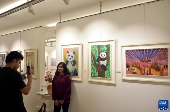 11月22日，在孟加拉國達卡，人們在“國家印象”繪畫展上參觀拍照。新華社發(fā)（薩利姆攝）