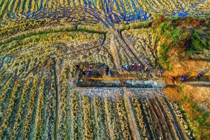 良渚遺址考古發(fā)掘現(xiàn)場。