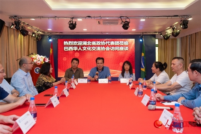 湖北省政協(xié)經濟委員會主任王兆民（中）在座談會上致辭。 人民網記者 陳海琪攝