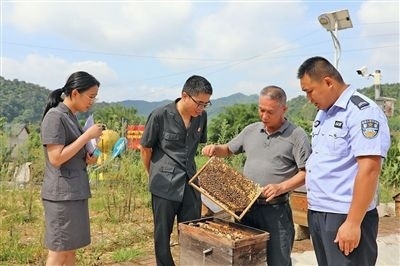  圖②：蒙山法院黃村法庭法官深入蜂蜜合作社，實(shí)地了解蜂農(nóng)需求。