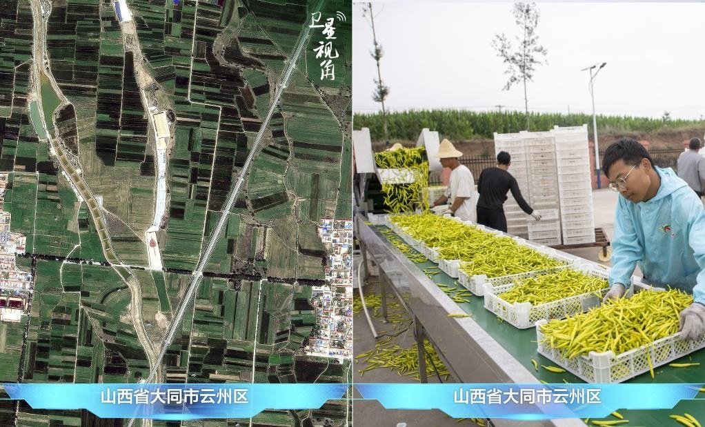 當(dāng)前，大同市開發(fā)黃花菜品、食品、飲品、功能食品、化妝品、文創(chuàng)產(chǎn)品六大系列130余種，全產(chǎn)業(yè)鏈產(chǎn)值超40億元。