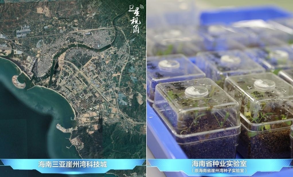 位于三亞崖州灣科技城的海南省種業(yè)實(shí)驗(yàn)室（原海南省崖州灣種子實(shí)驗(yàn)室）將形成輻射全國(guó)和“一帶一路”沿線國(guó)家的種子科學(xué)技術(shù)創(chuàng)新中心。