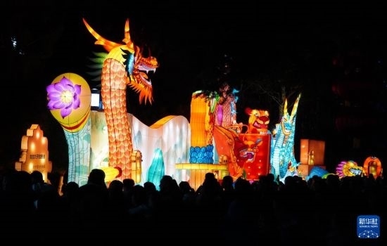 2月11日晚，人們在濟(jì)南市趵突泉公園觀賞花燈。