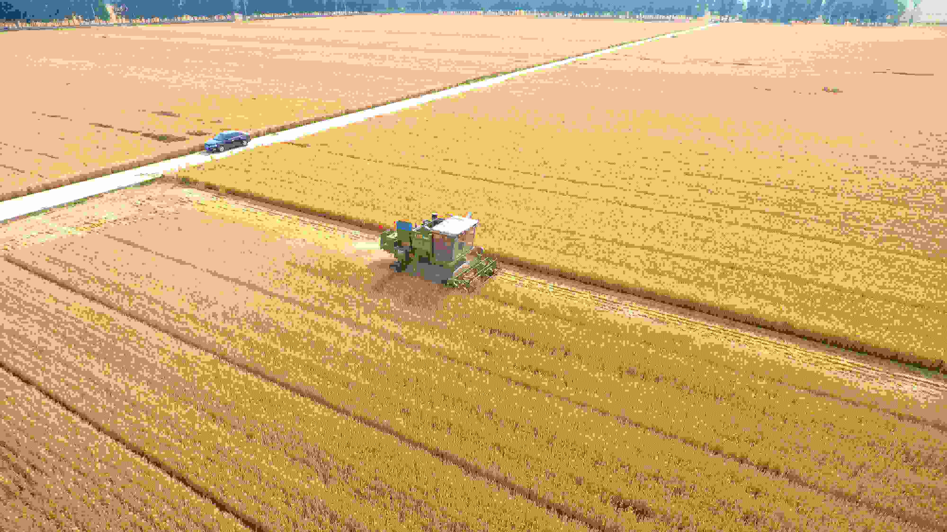 △ 2023年6月5日，山東聊城茌平區(qū)賈寨鎮(zhèn)王藥包村，收割機(jī)在田間進(jìn)行小麥?zhǔn)崭钭鳂I(yè)。