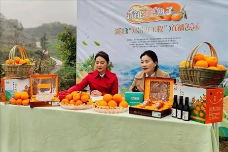 2021年2月26日，在重慶渝北區(qū)大盛鎮(zhèn)青龍村舉辦的直播活動(dòng)現(xiàn)場(chǎng)。