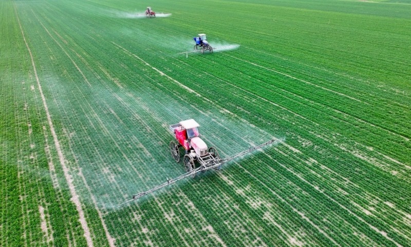 2024年2月18日，安徽省亳州市，利辛縣紀王場鄉(xiāng)孫老家村麥田，農(nóng)民駕駛自走式高桿噴霧機對小麥進行噴藥作業(yè)。