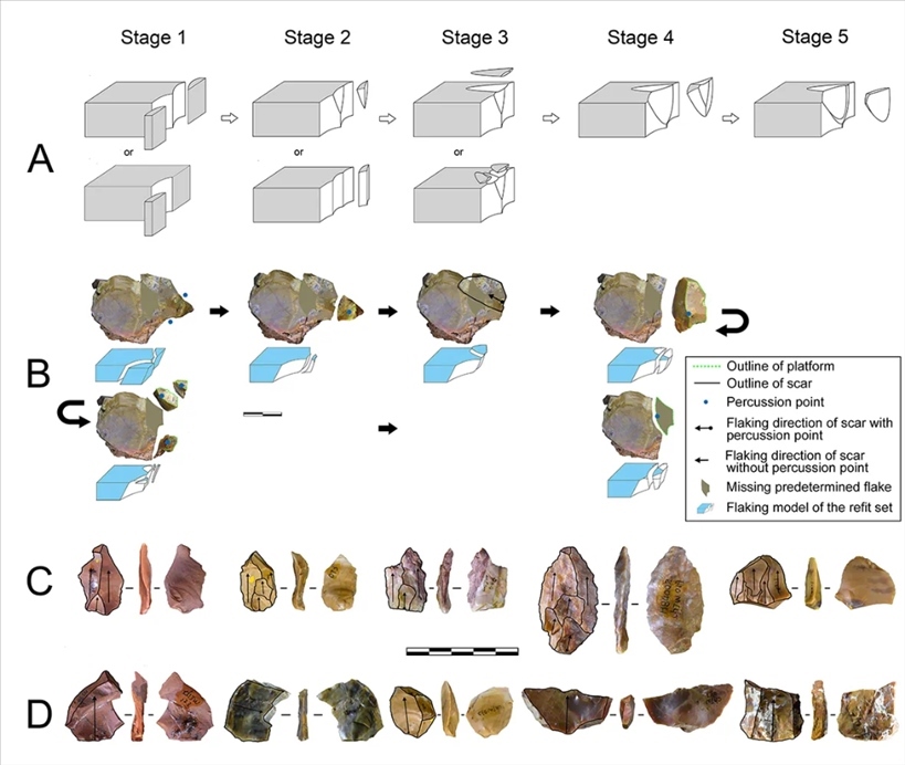 岑家灣遺址“準備石核技術”及相關石制品。（受訪單位供圖）
