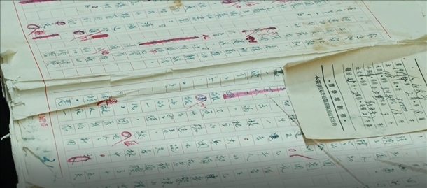 曲波《林海雪原》手稿。主辦方供圖