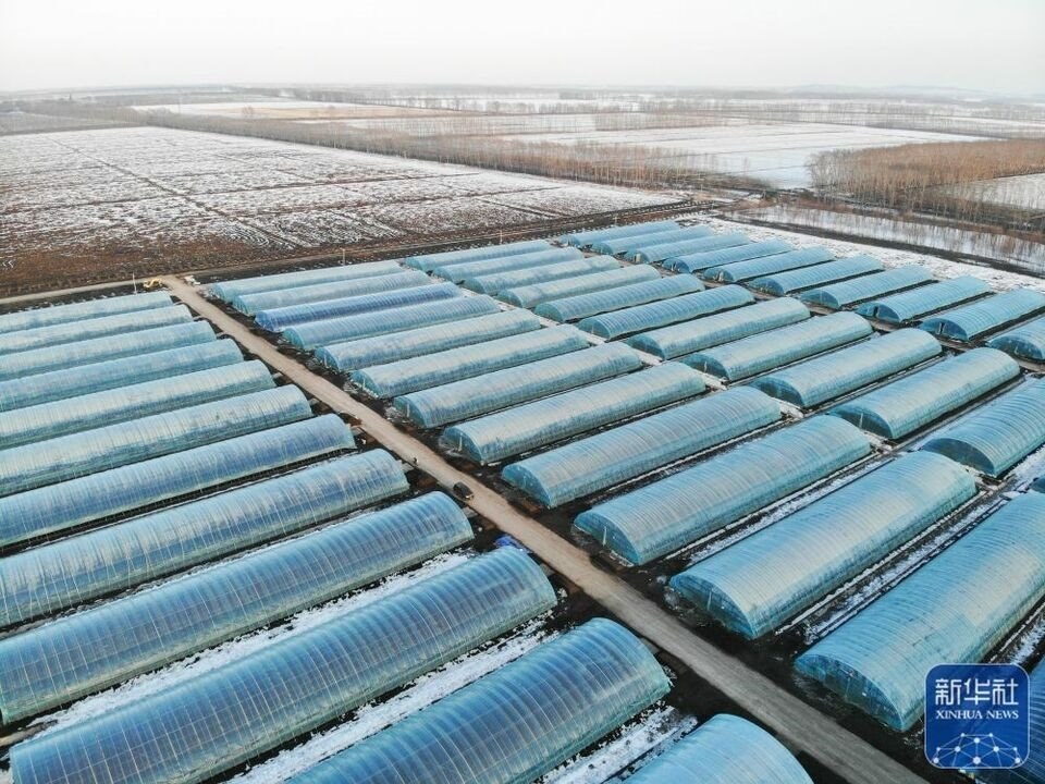 新華全媒+|“大糧倉”黑龍江春耕備耕火熱進行