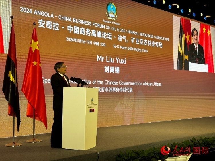 中國政府非洲事務(wù)特別代表劉禹錫。人民網(wǎng)記者 張榮攝