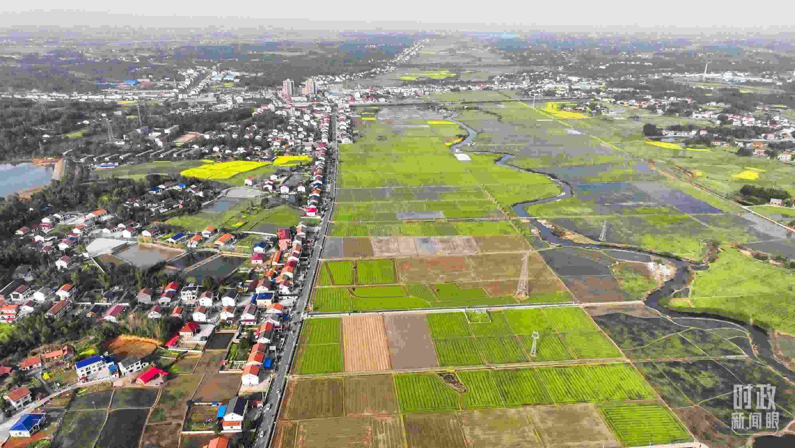 △俯瞰常德市謝家鋪鎮(zhèn)港中坪村。（總臺國廣記者李晉拍攝）