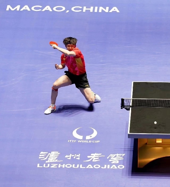 王楚欽在比賽中。賽事方供圖