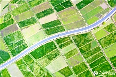 無人機(jī)視角下的西藏山南市瓊結(jié)農(nóng)田。人民網(wǎng)記者 次仁羅布攝