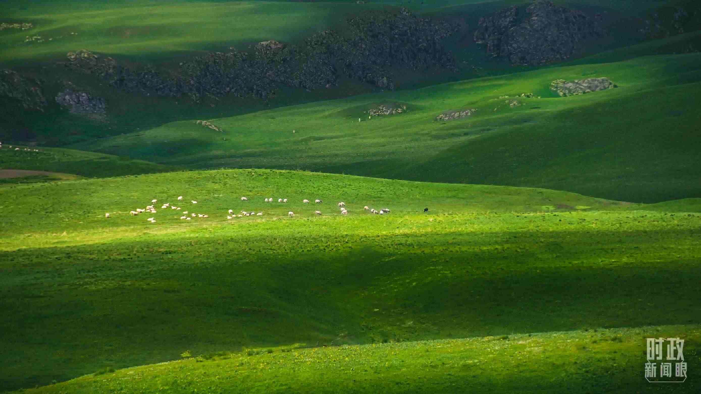 △祁連山草原光影。（圖/視覺中國）