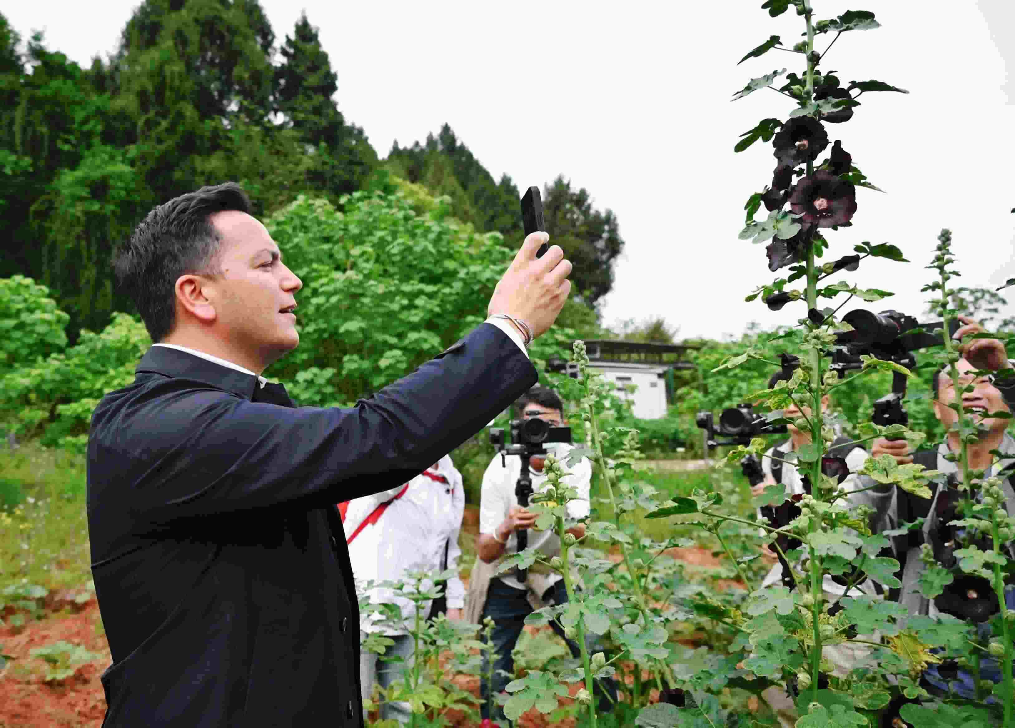  △2024年4月23日，國際園藝生產(chǎn)者協(xié)會(huì)主席萊昂納多·卡皮塔尼奧在成都市金堂縣鮮花山谷景區(qū)考察蜀葵產(chǎn)業(yè)。