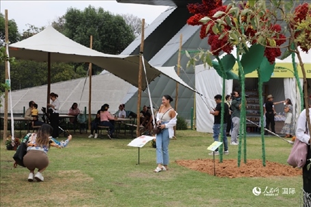 坎波·馬特活動(dòng)現(xiàn)場。埃內(nèi)斯托·多明戈斯攝