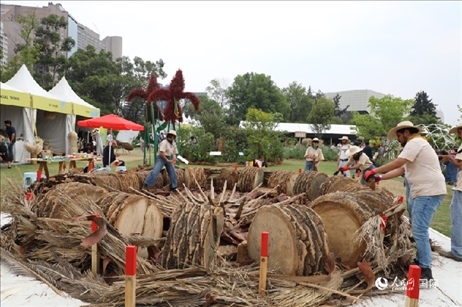 坎波·馬特活動(dòng)現(xiàn)場。埃內(nèi)斯托·多明戈斯攝