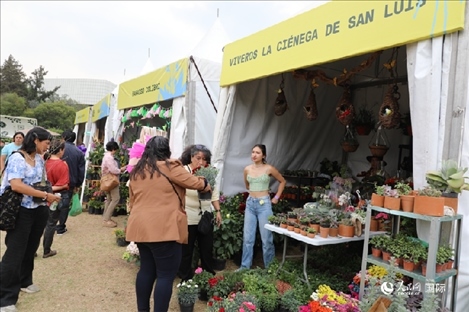 坎波·馬特活動(dòng)現(xiàn)場。埃內(nèi)斯托·多明戈斯攝