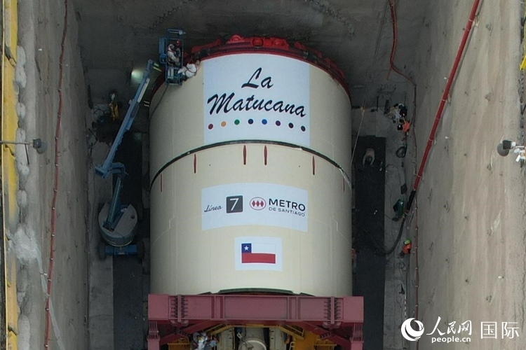 質構機全景。陳露明攝