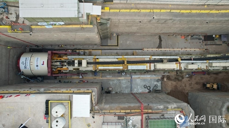 質構機全景。陳露明攝