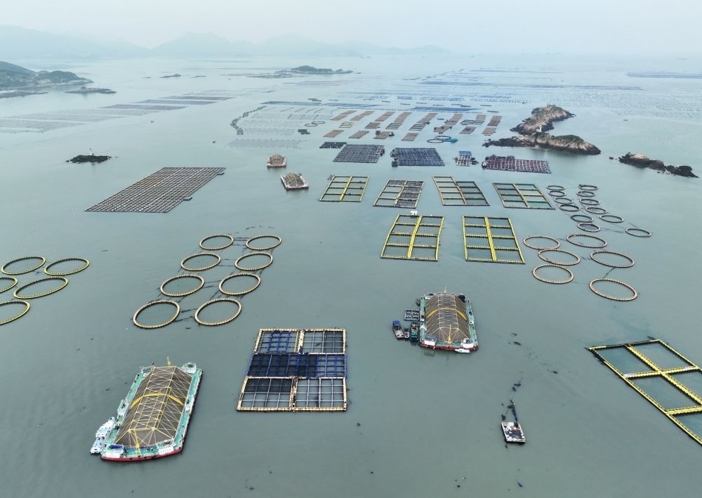 在福建連江定海灣海域，坐落著“定海灣1號”“定海灣2號”等深遠海養(yǎng)殖平臺（2024年5月7日攝，無人機照片）。新華社記者 林善傳 攝
