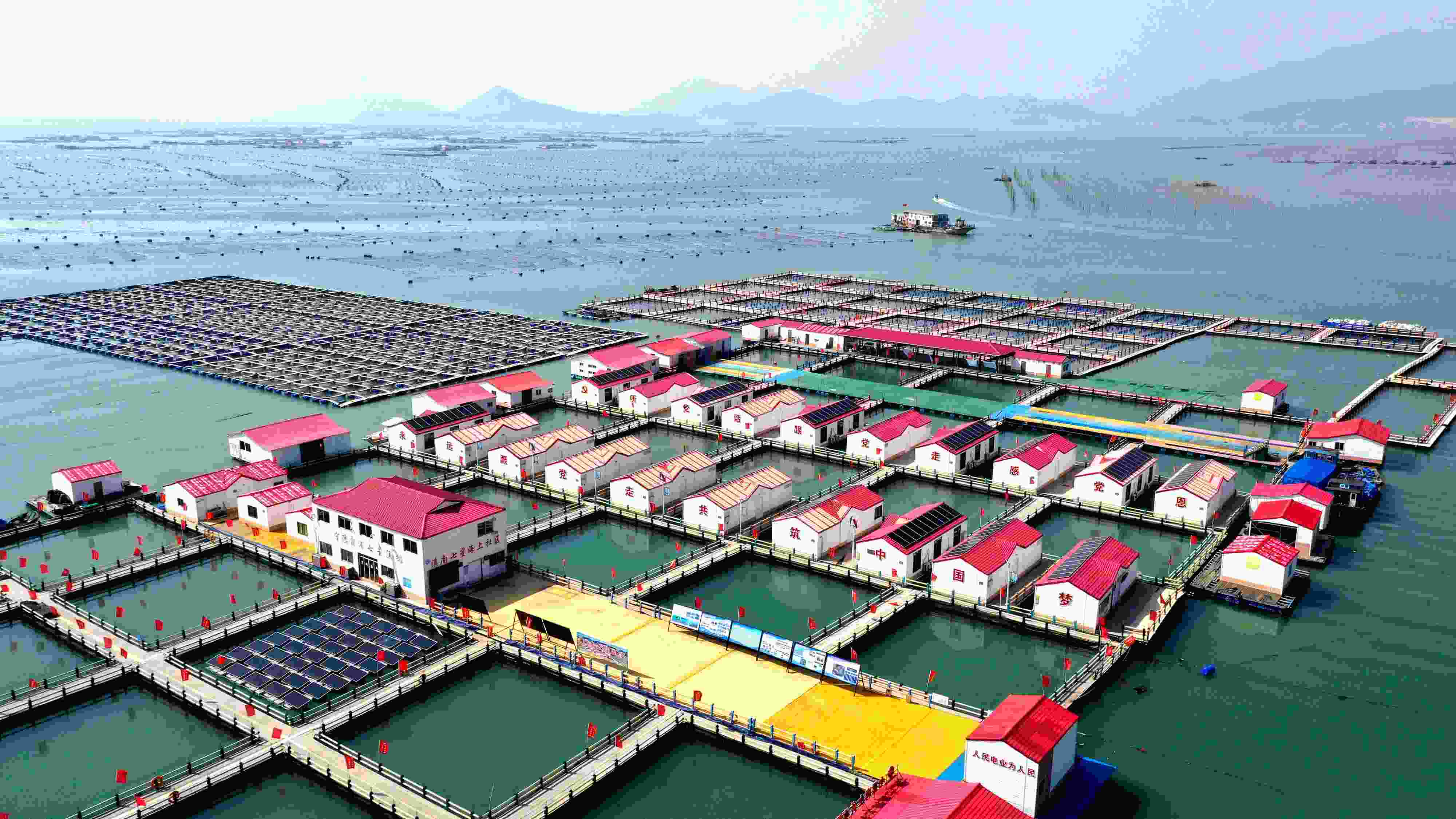 2024年3月20日，福建省寧德市，霞浦縣溪南鎮(zhèn)七星村漁排養(yǎng)殖示范區(qū)，漁民駕駛養(yǎng)殖船進(jìn)行海參養(yǎng)殖作業(yè)。