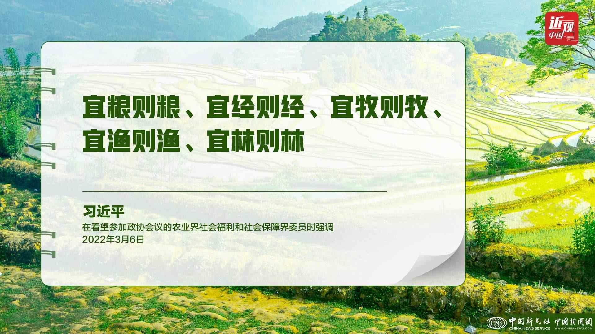 習(xí)近平：樹立大食物觀，構(gòu)建多元化食物供給體系