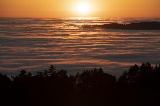 這是5月14日在美國加利福尼亞州馬林縣拍攝的云海。新華社發(fā)（李建國攝）