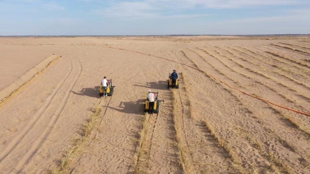 內(nèi)蒙古巴彥淖爾市烏拉特后旗西補隆林業(yè)管護中心職工駕駛機械鋪設壓沙障。新華社記者 李云平 攝