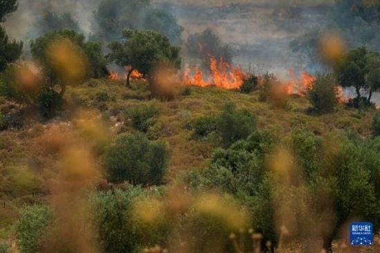 6月12日，以色列北部加利利地區(qū)遭受火箭彈襲擊后冒出滾滾濃煙。新華社發(fā)（阿亞爾·馬戈林?jǐn)z/基尼圖片社）