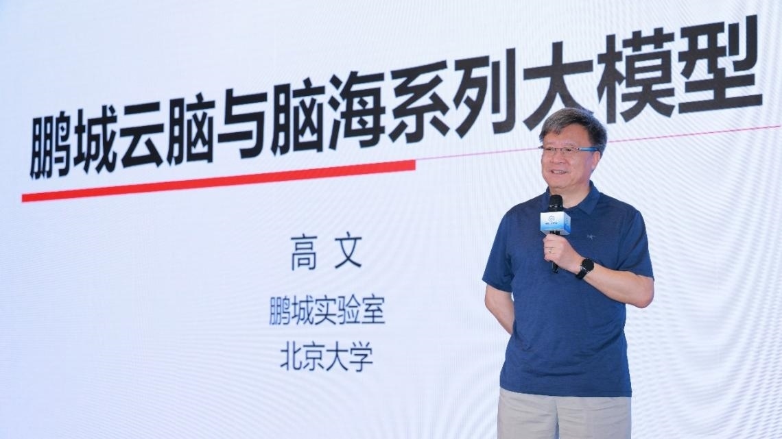 高文院士做大會特邀報告。主辦方供圖