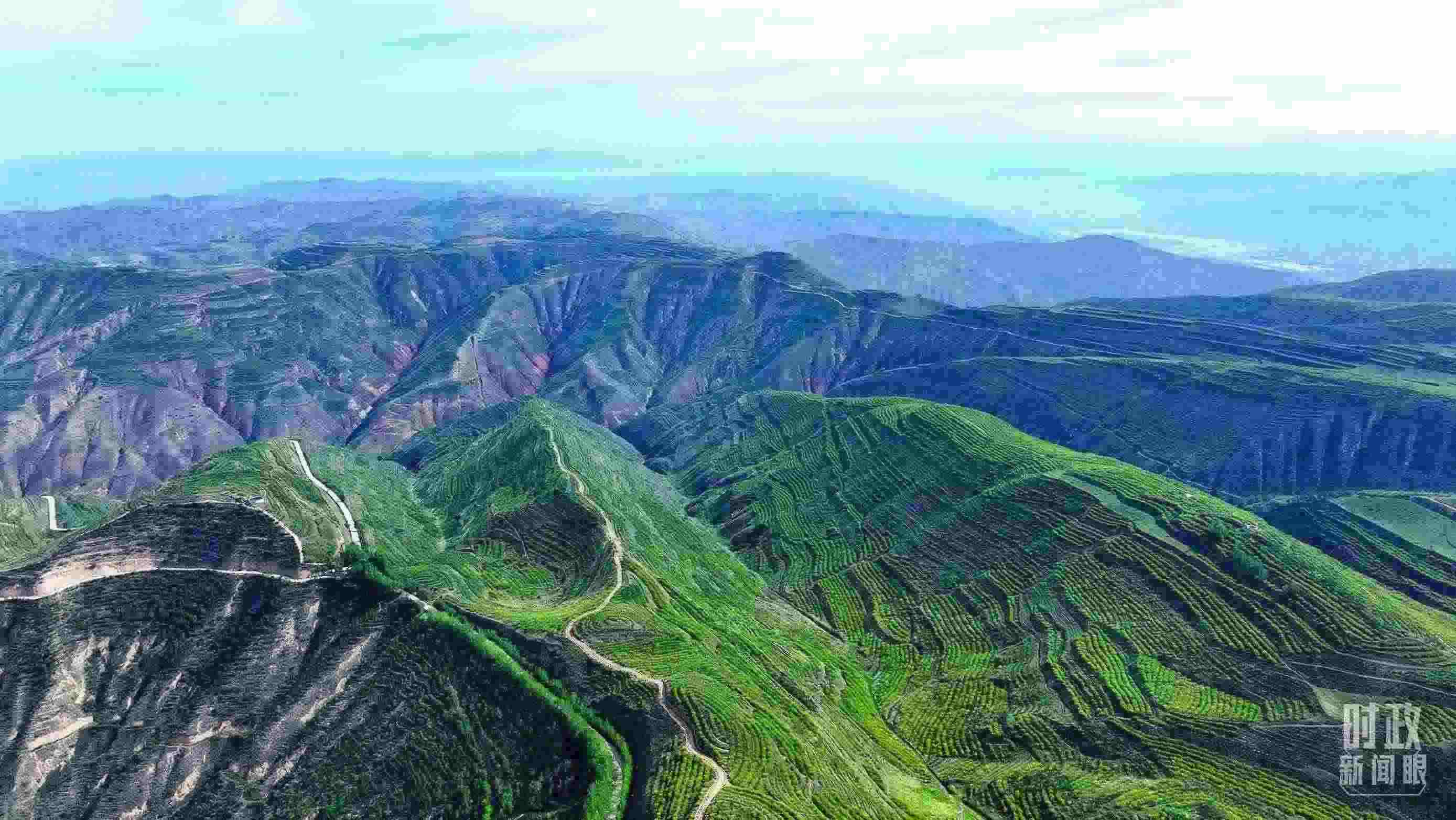 △青海西寧。（總臺(tái)記者柳成拍攝）